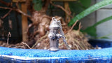 DGK x El Senor 'Fire Hydrant' pendant - .925 Sterling Silver
