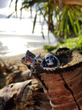 'Skull And Sword' ring - .925 Sterling Silver