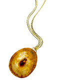 Opihi Shell Pendant w/ 14k Bail